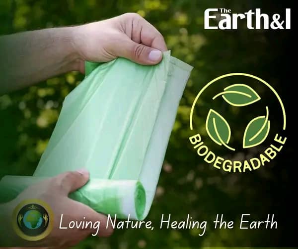 Eco-Friendly Laundry Service